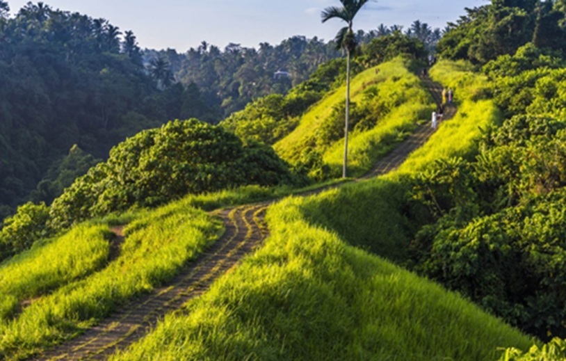 10 Tempat Wisata di Ubud. Tempat Terbaik untuk Healing