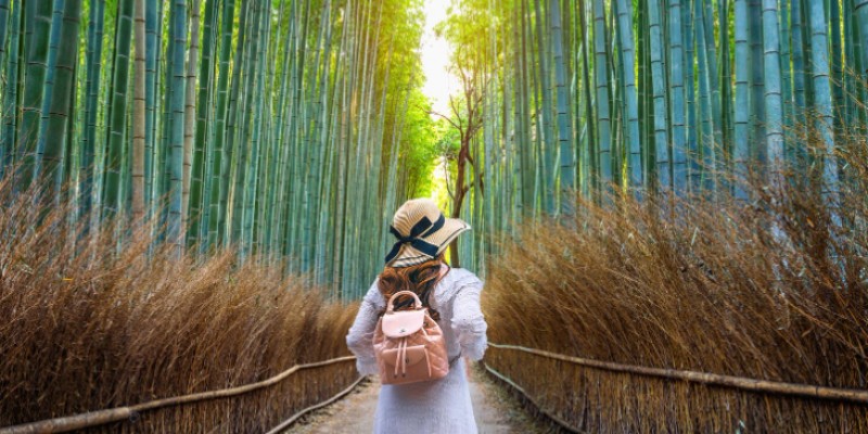 Kisaran Biaya Liburan ke Jepang